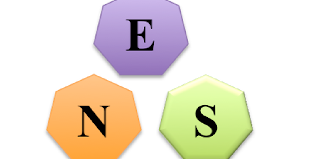 ENS Group Logo